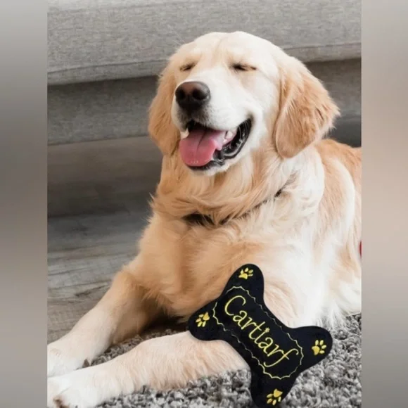 Dog 🐶 Toy - Picture 2 of 3